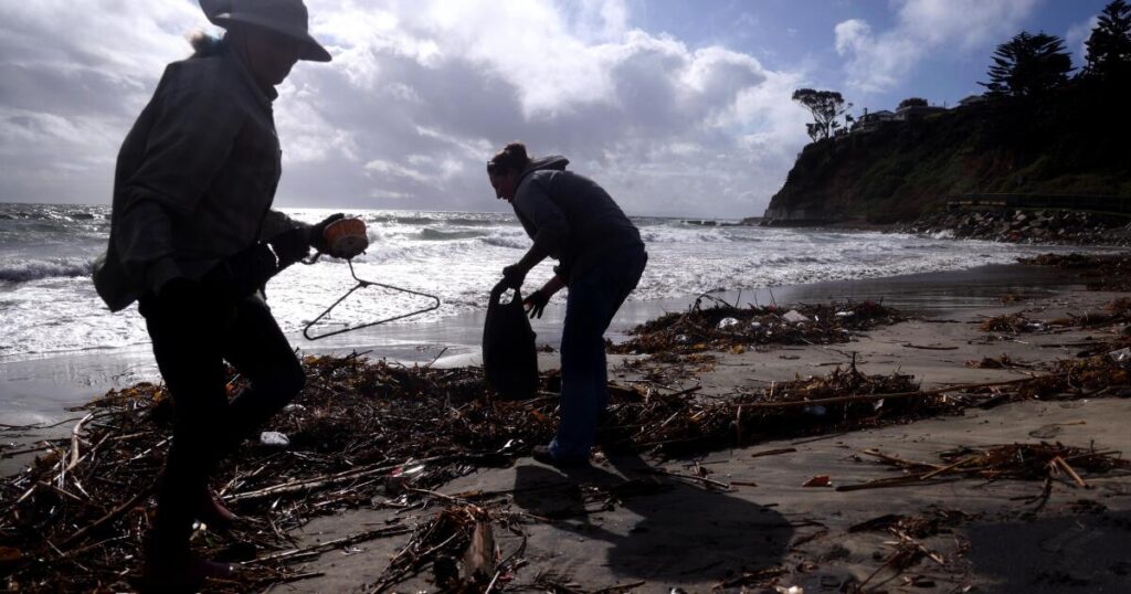 Industrial chemicals have reached the middle of the oceans, new study shows