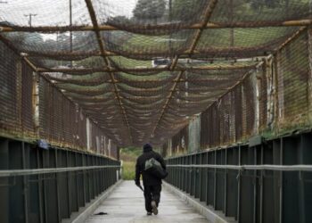 Dodger Walk: A great city needs a walking path to blue heaven. Do it, Frank McCourt