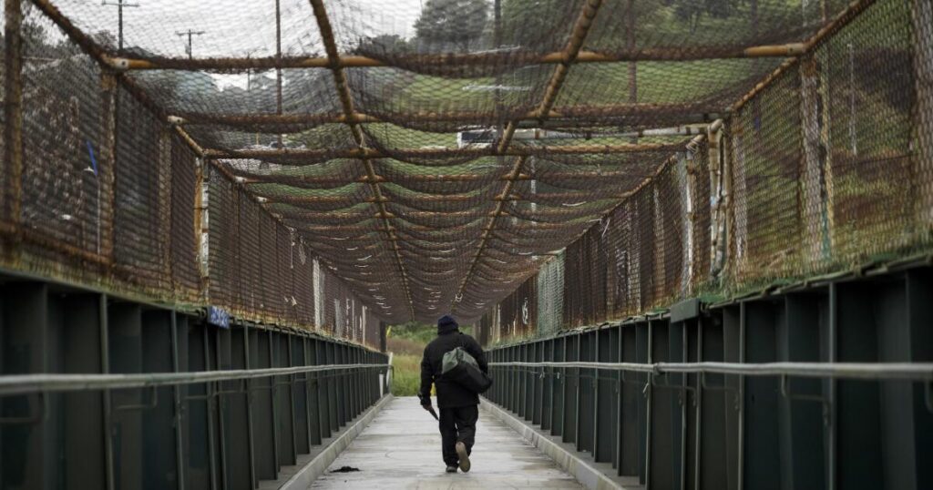 Dodger Walk: A great city needs a walking path to blue heaven. Do it, Frank McCourt