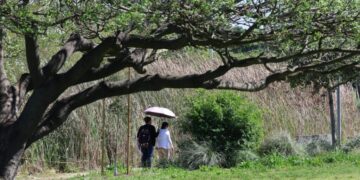 Major heat wave slams SoCal. Record-breaking temperatures expected across Los Angeles