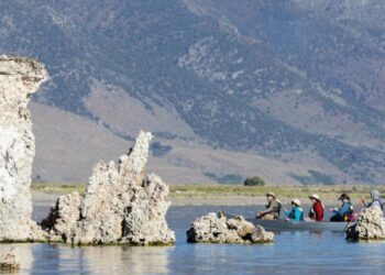 Mono Lake water levels are well below what’s required. Now some want L.A. to tighten its tap