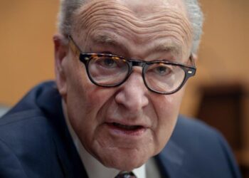 Schumer had a plan to win back the Senate. But some Democrats aren’t on board