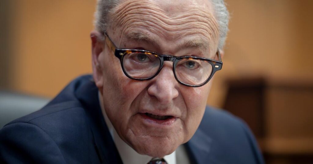 Schumer had a plan to win back the Senate. But some Democrats aren’t on board