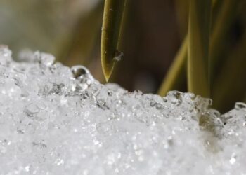 California’s snowpack was already meager. Now comes an extraordinary heat wave