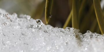 California’s snowpack was already meager. Now comes an extraordinary heat wave