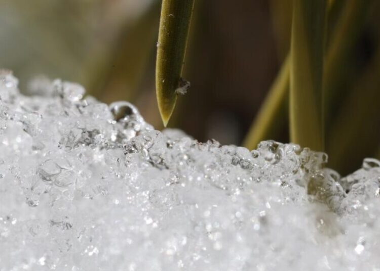 California’s snowpack was already meager. Now comes an extraordinary heat wave