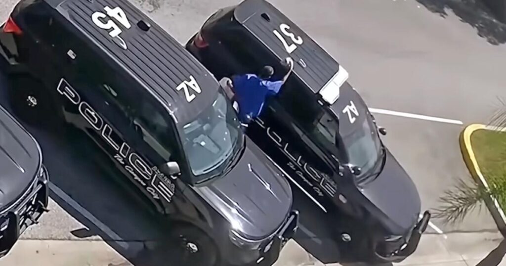 Video shows man enter police vehicle before being found dead days later