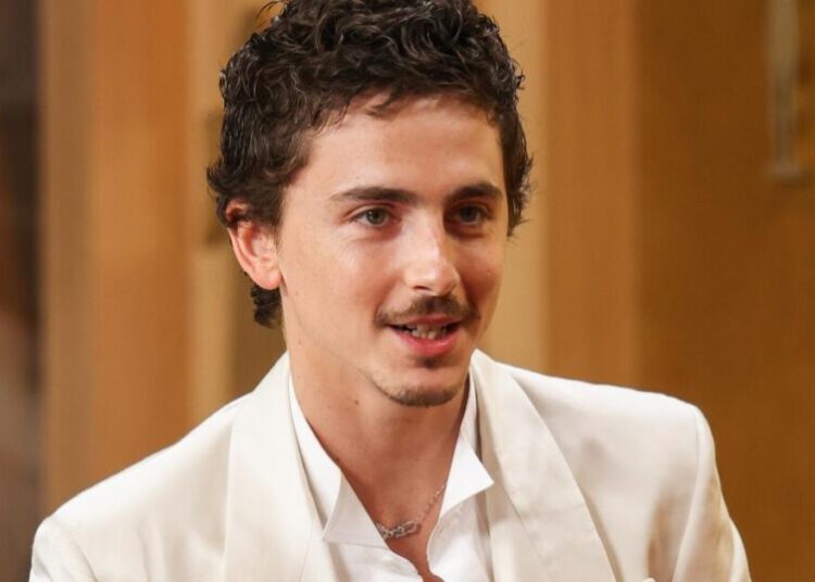 Viral backlash over Timothée Chalamet’s ballet and opera comments kinda proves his point