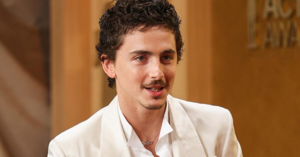 Viral backlash over Timothée Chalamet’s ballet and opera comments kinda proves his point