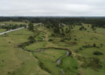 New study challenges a site that’s key to how humans got to the Americas