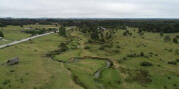 New study challenges a site that’s key to how humans got to the Americas