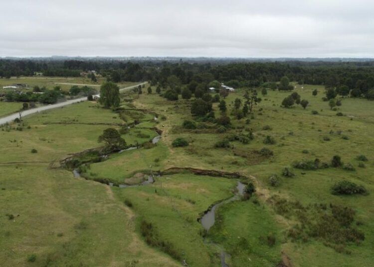 New study challenges a site that’s key to how humans got to the Americas