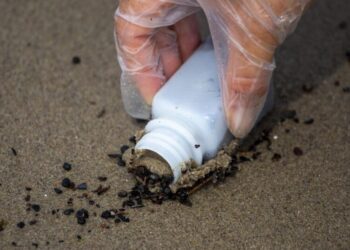 New report on L.A. post-fire beach contamination finds something unexpected: good news