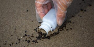 New report on L.A. post-fire beach contamination finds something unexpected: good news