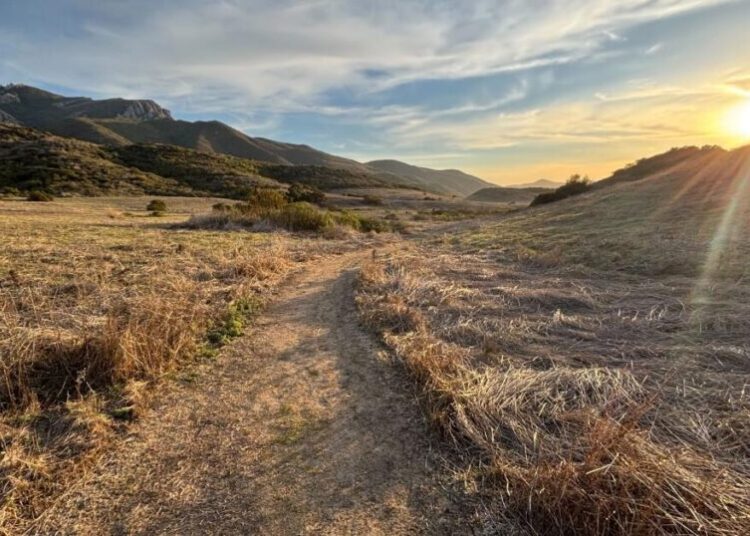 Ventura County teen rescued after rattlesnake bite