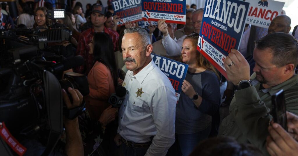 The Riverside County sheriff has seized 650,000 ballots. Here’s what we know