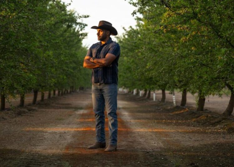 California farmers were already struggling. Then came the Iran war