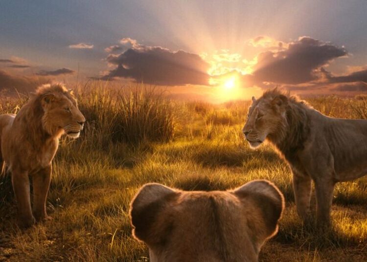 ‘Look, it’s a lawsuit!’ Lion King composer sues comedian over song translation