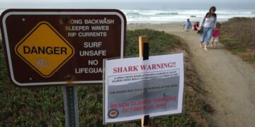 Human remains found on a Bay Area beach in 1999 and 2023 have been identified