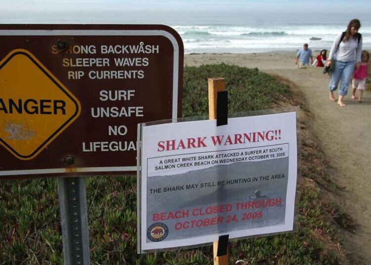 Human remains found on a Bay Area beach in 1999 and 2023 have been identified