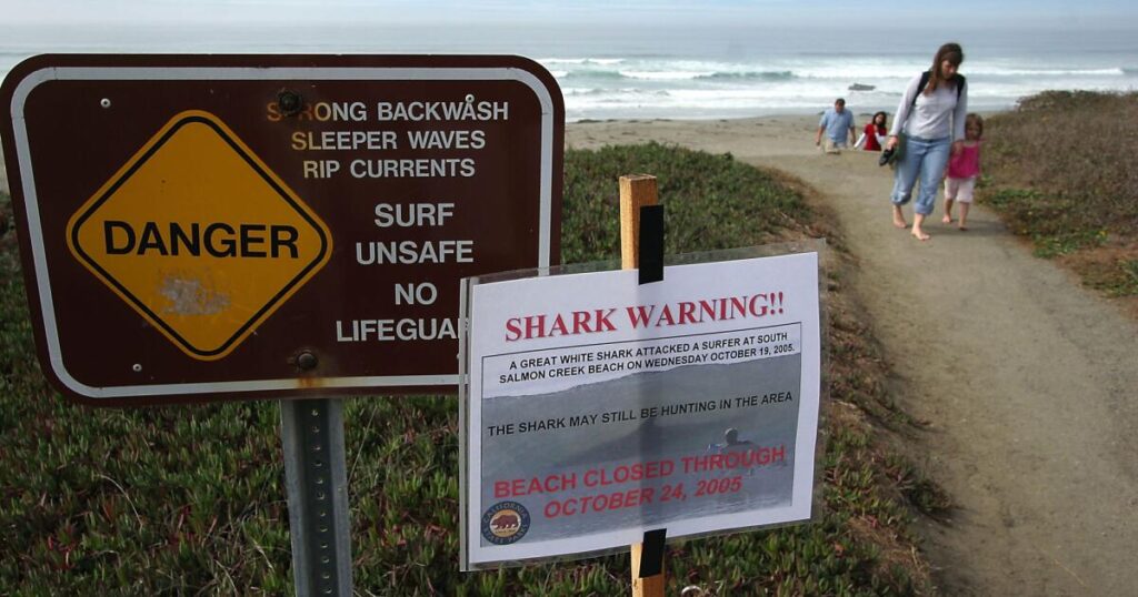 Human remains found on a Bay Area beach in 1999 and 2023 have been identified