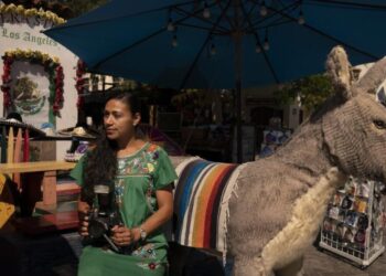 Olvera Street’s iconic burro stand to be evicted after judge’s ruling