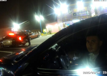 Videos of ICE Shooting in Texas Capture a Confused and Fatal Encounter