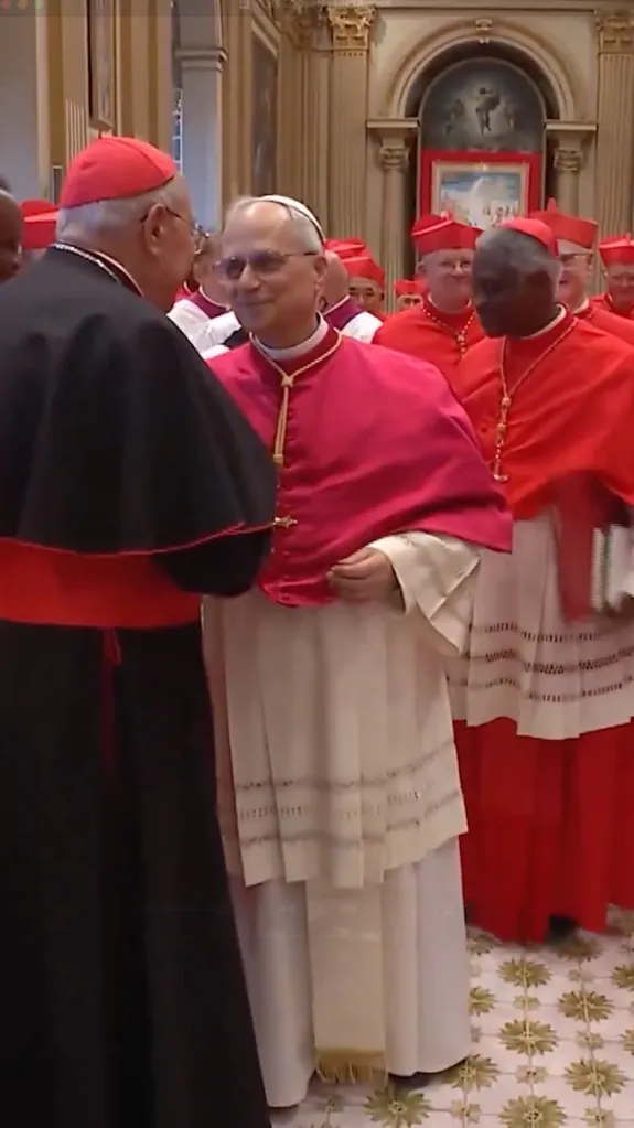 Pope Leo XIV address cardinals in the Sistine Chapel after his election on May 8, 2025.