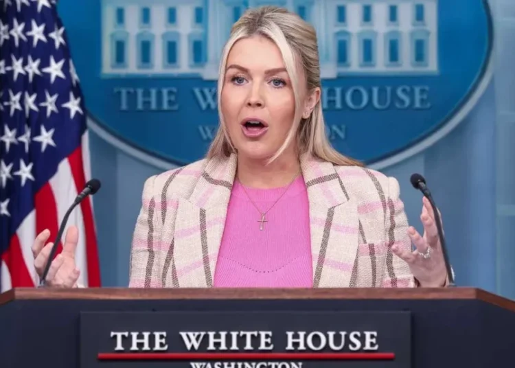 Leavitt chafes at reporter’s disbelief on Iran: ‘The president is not making this up!’