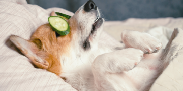 Why You Always Feel Like You’re ‘Doing Sundays Wrong’ (and How to Fix It)