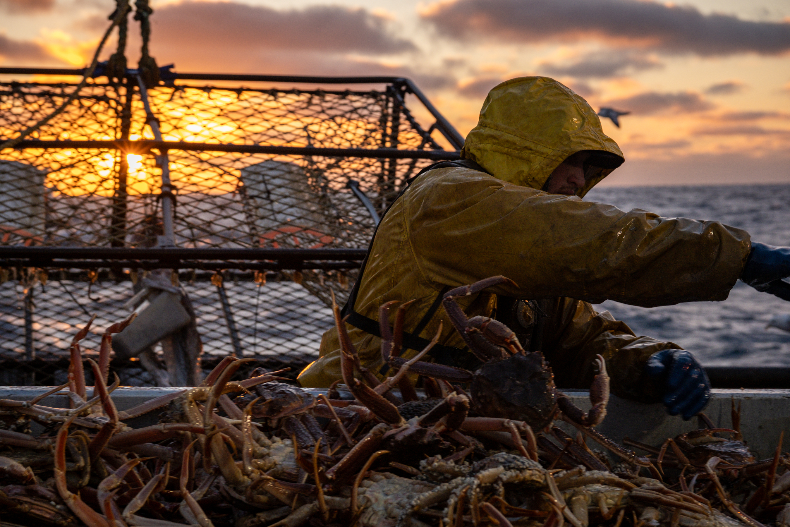 A fisherman sorting crabs on a boat at sunset.