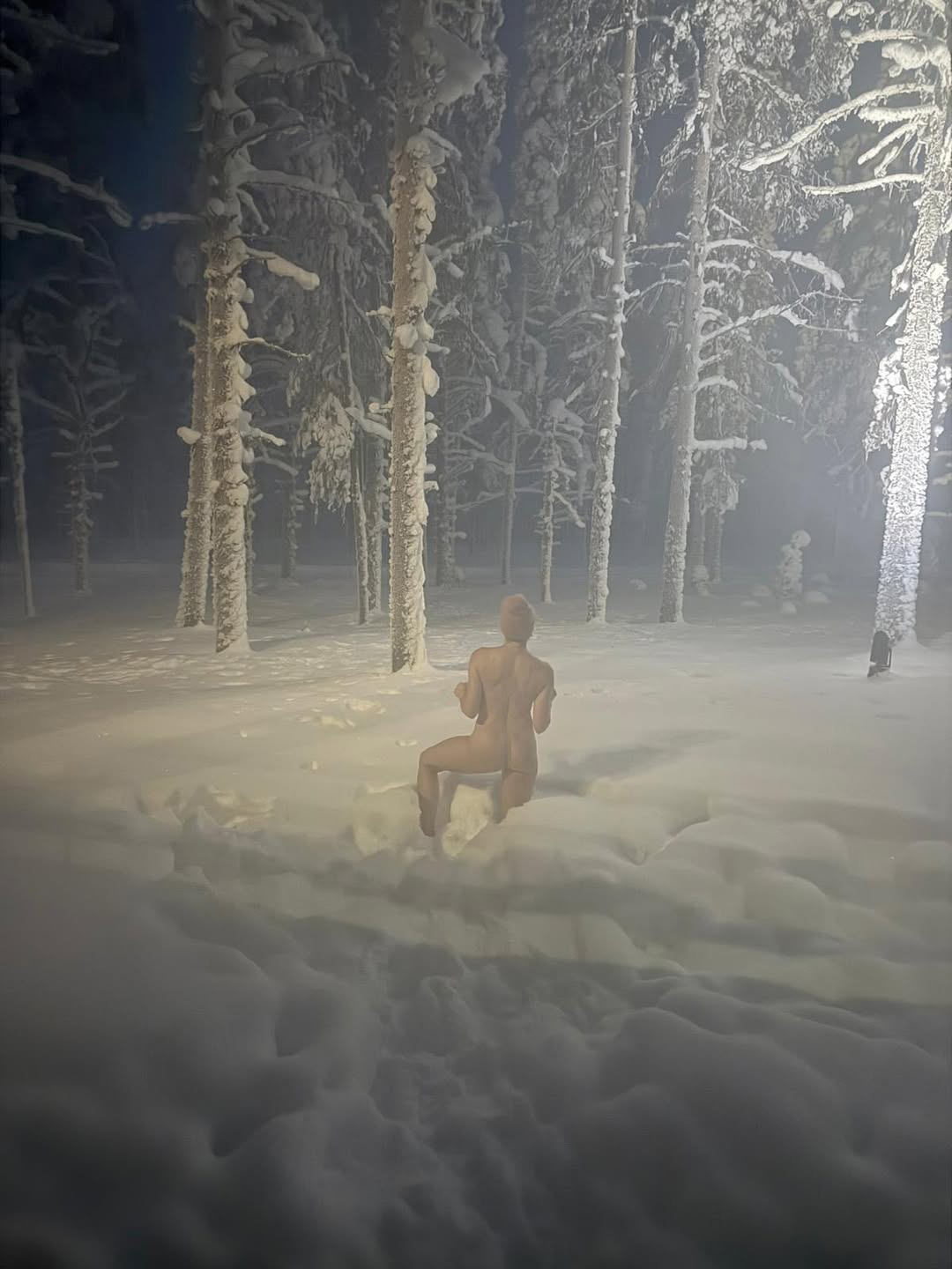 Chelsea Handler posing nude in a snowy forest.