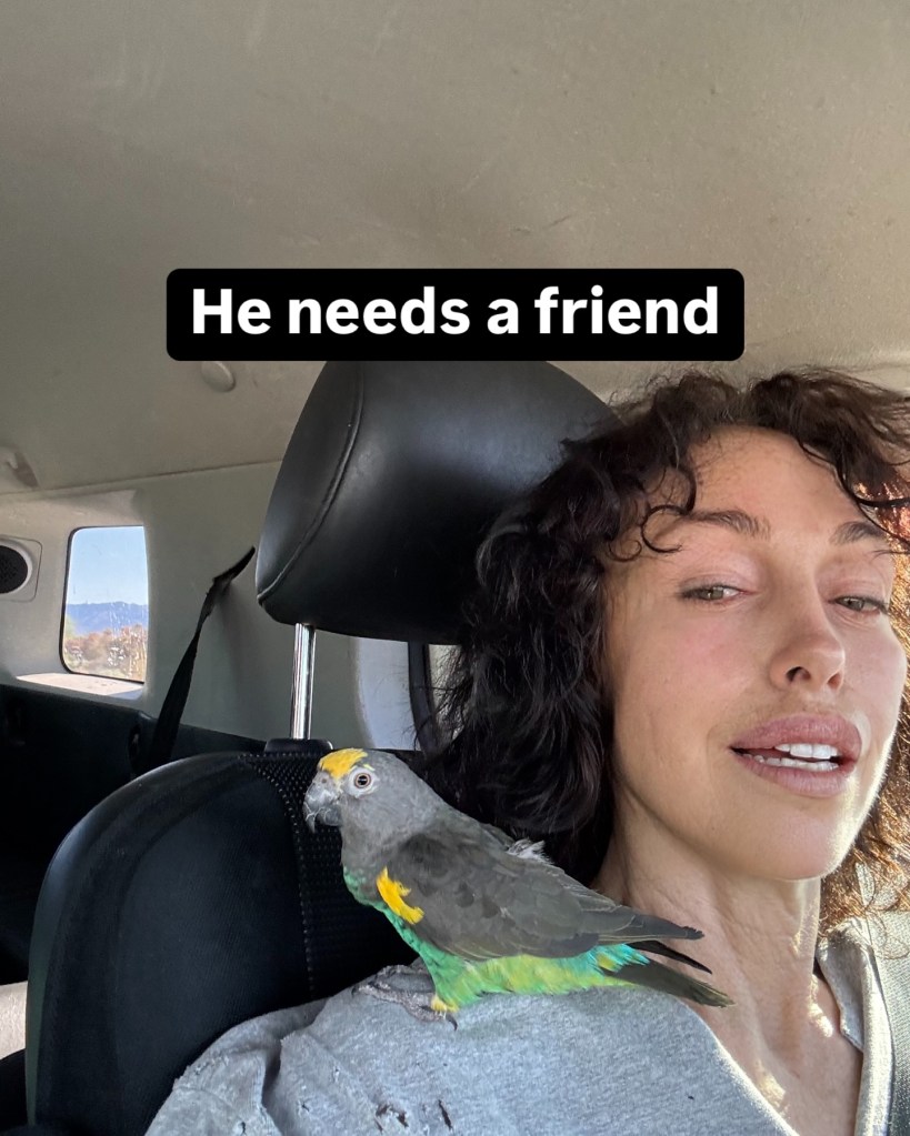 The 60-year-old said the $850,000 property she bought in mid-February features a bird aviary with more than 30 birds that she allows to roam free rather than keeping them caged