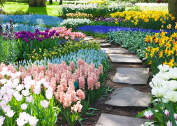 Your Doctor May Soon Give You a Depression Prescription Straight Out of the 1800s