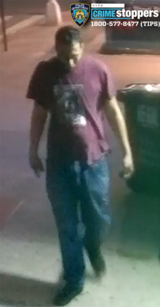 photo of suspect