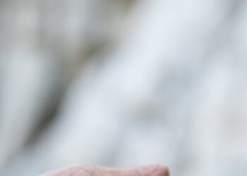 What’s in a Name? For These Snails, Legal Protection