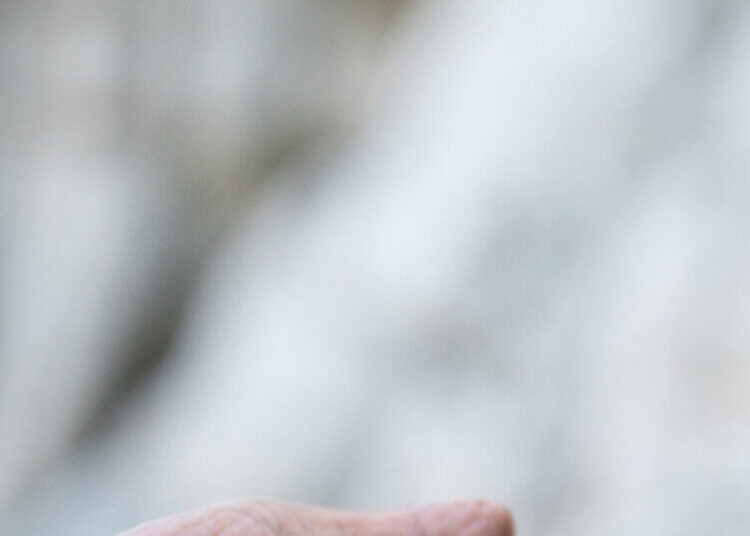 What’s in a Name? For These Snails, Legal Protection