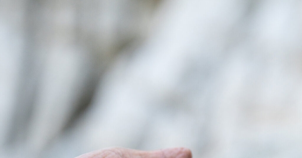 What’s in a Name? For These Snails, Legal Protection