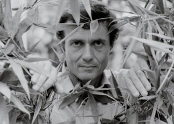 Lessons From the Wild, Elusive Life of a Conservation Giant