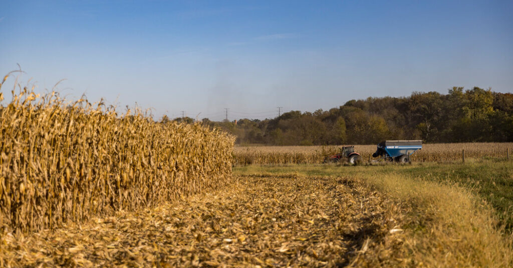 Crop Undercount Raises Questions About Reliability of U.S.D.A. Data