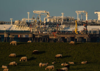 Fallout of War Piles Economic Pain Onto Europe’s Political Stress