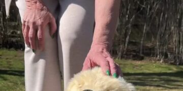 How ‘Age Tech’ Might Help You Grow Old at Home