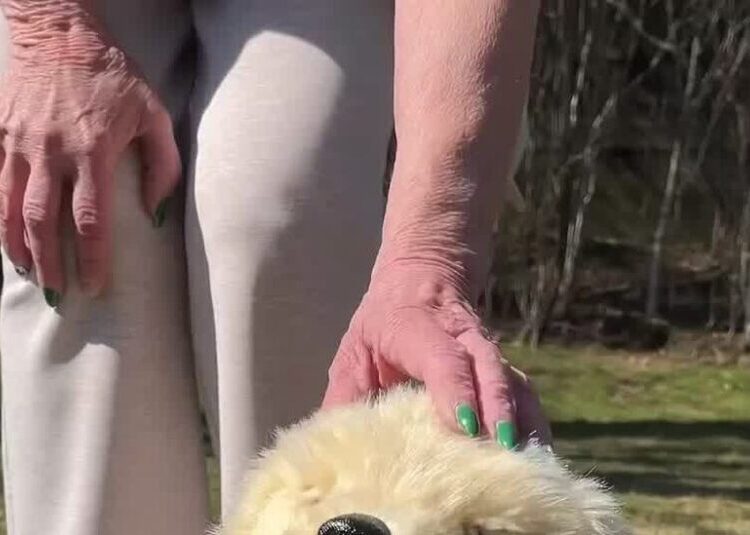 How ‘Age Tech’ Might Help You Grow Old at Home