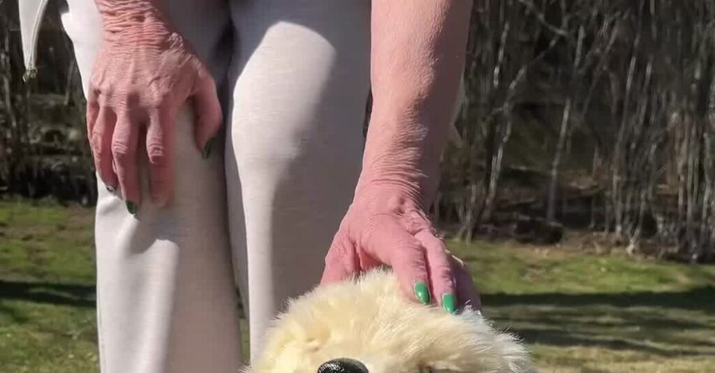 How ‘Age Tech’ Might Help You Grow Old at Home