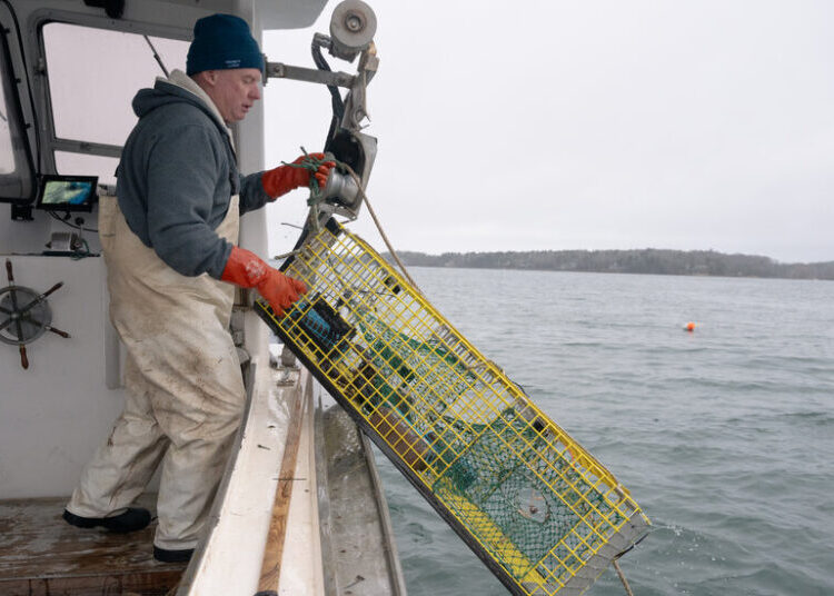 In New England, Catching Climate Data Along With Fish