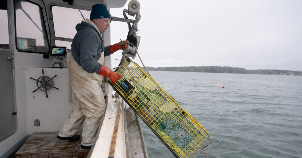 In New England, Catching Climate Data Along With Fish