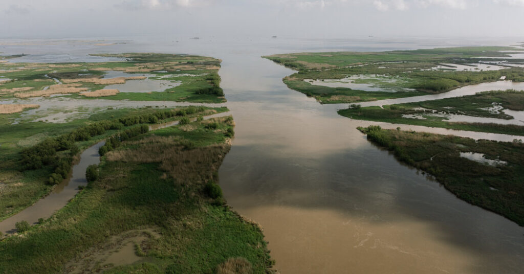 Supreme Court Sides With Oil Companies in Louisiana Coastal Lawsuits