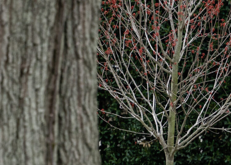 Trump Wants to Make Deportation Deals. Autocrats Are Ready to Listen.