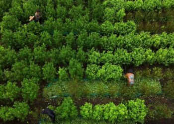 Trump Wants to Stop Drugs Coming From South America. Is That Possible?