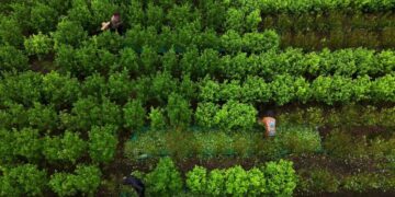 Trump Wants to Stop Drugs Coming From South America. Is That Possible?